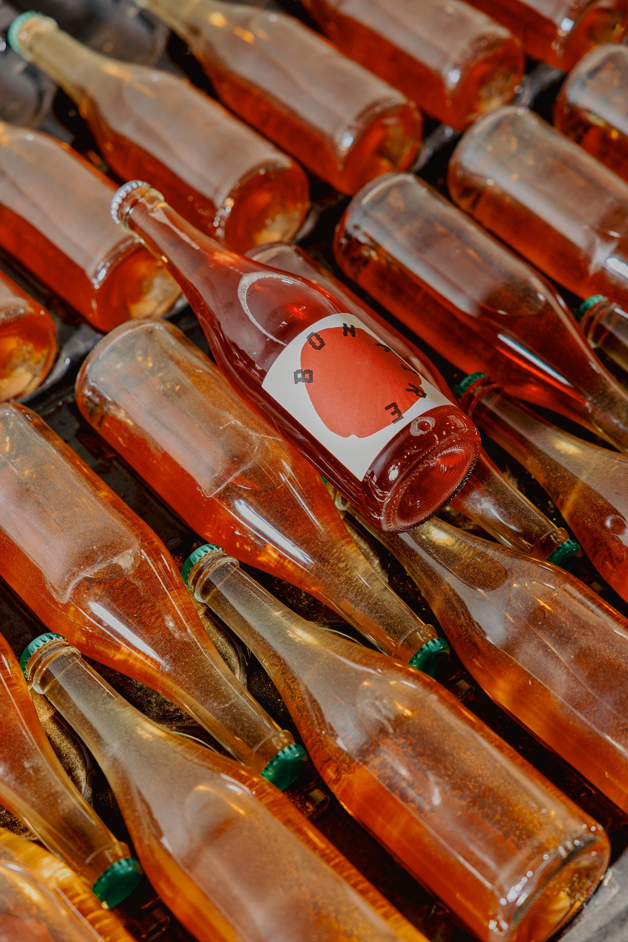 Bonaire '23 (Cider)