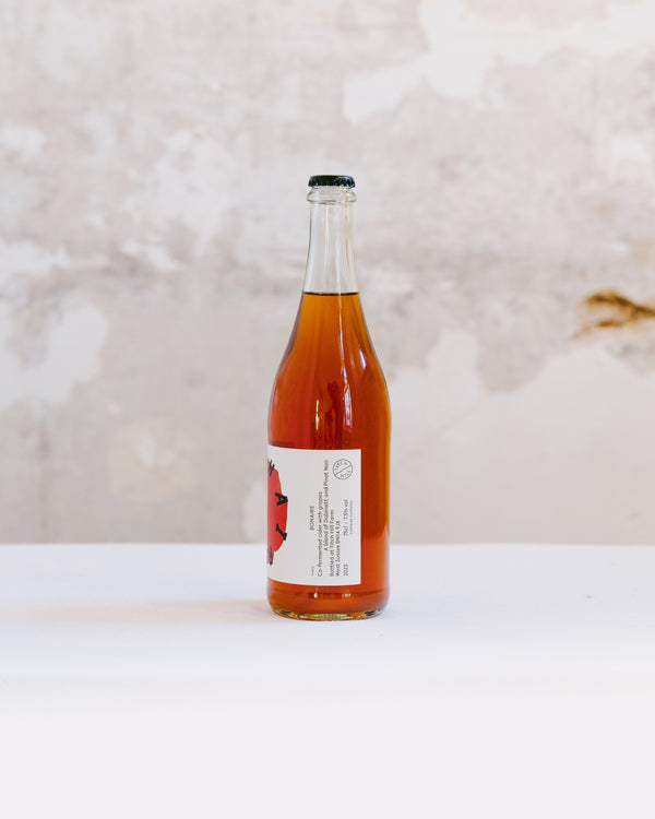 Bonaire '23 (Cider)