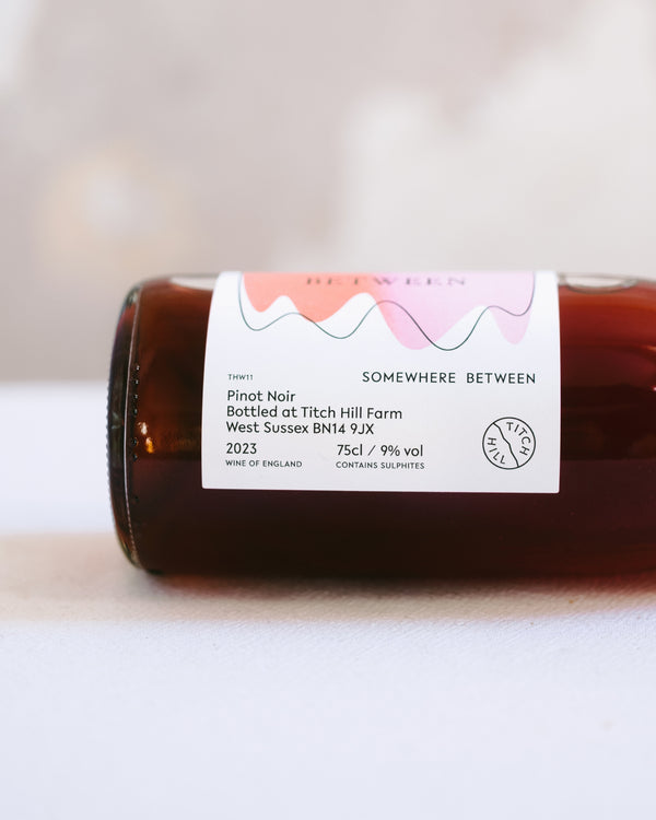 Somewhere Between '23